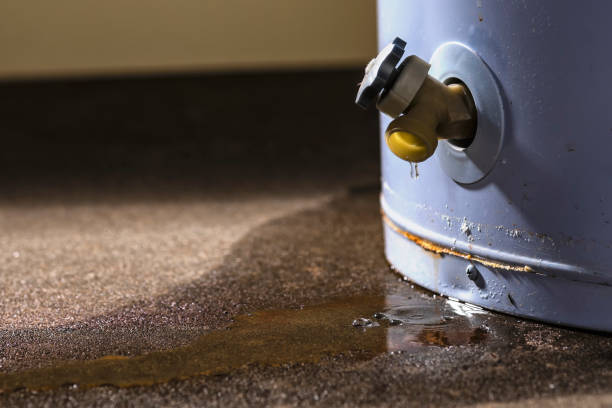 Best Fire Damage Restoration  in Cortland, NY
