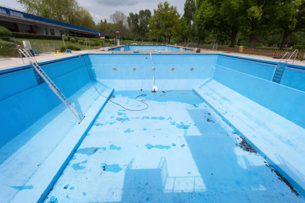 Best Water damage contractors near me  in Cortland, NY