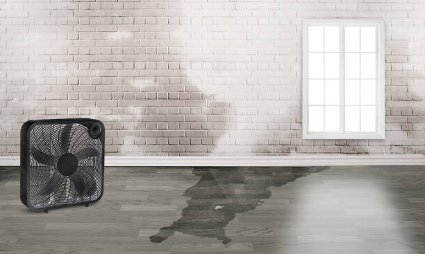 Best 24-hour water damage restoration  in Cortland, NY