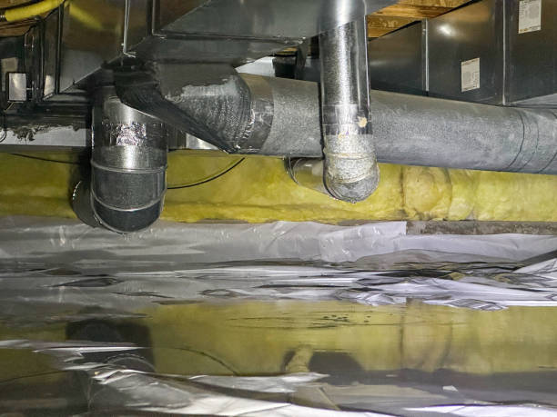 Best Flood damage cleanup  in Cortland, NY