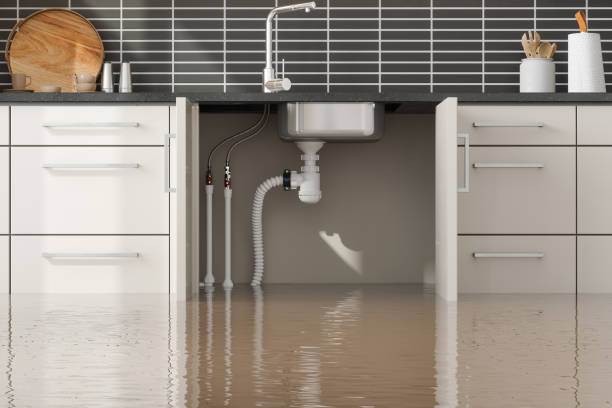 Best Local water damage restoration  in Cortland, NY