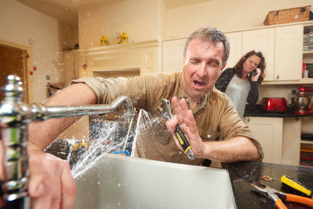 Best Flooded house restoration  in Cortland, NY